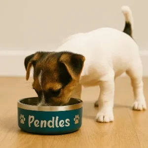Personalised Pet Bowl